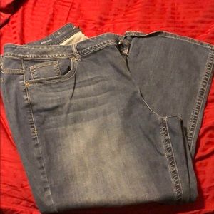 Lane Bryant bootcut jeans